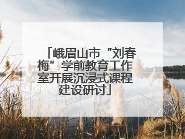 峨眉山市“刘春梅”学前教育工作室开展沉浸式课程建设研讨