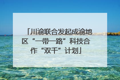 川渝联合发起成渝地区“一带一路”科技合作“双千”计划