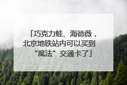 巧克力蛙、海德薇，北京地铁站内可以买到“魔法”交通卡了