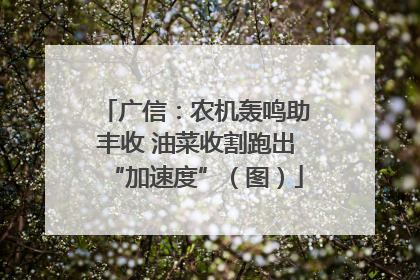 广信：农机轰鸣助丰收 油菜收割跑出“加速度”（图）