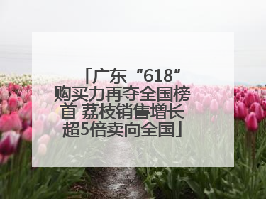 广东“618”购买力再夺全国榜首 荔枝销售增长超5倍卖向全国