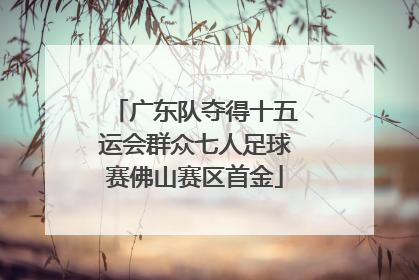 广东队夺得十五运会群众七人足球赛佛山赛区首金