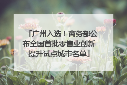 广州入选！商务部公布全国首批零售业创新提升试点城市名单
