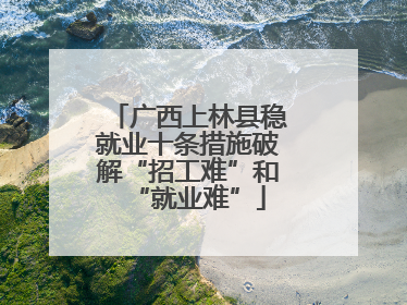 广西上林县稳就业十条措施破解“招工难”和“就业难”