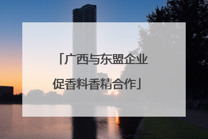 广西与东盟企业促香料香精合作