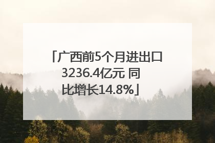 广西前5个月进出口3236.4亿元 同比增长14.8%