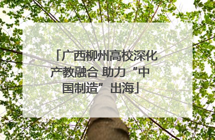 广西柳州高校深化产教融合 助力“中国制造”出海