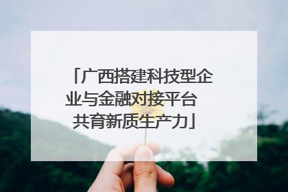 广西搭建科技型企业与金融对接平台 共育新质生产力