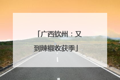 广西钦州：又到辣椒收获季