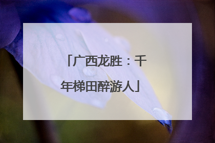 广西龙胜：千年梯田醉游人