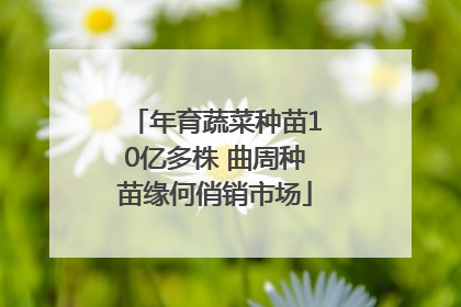 年育蔬菜种苗10亿多株 曲周种苗缘何俏销市场