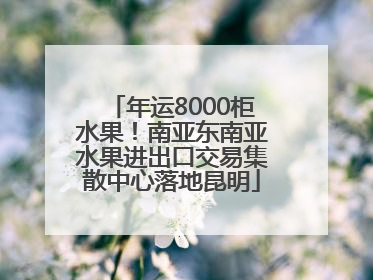 年运8000柜水果！南亚东南亚水果进出口交易集散中心落地昆明
