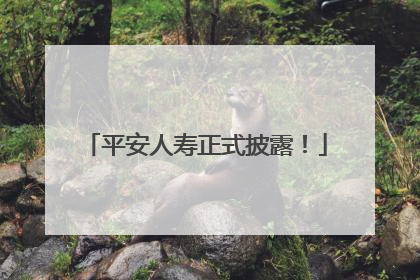 平安人寿正式披露！