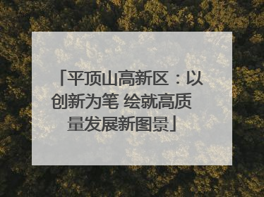 平顶山高新区：以创新为笔 绘就高质量发展新图景