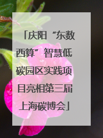 庆阳“东数西算”智慧低碳园区实践项目亮相第三届上海碳博会