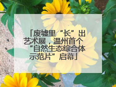 废墟里“长”出艺术展，温州首个“自然生态综合体示范片”启幕
