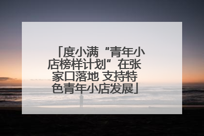 度小满“青年小店榜样计划”在张家口落地 支持特色青年小店发展