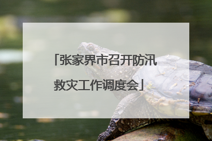 张家界市召开防汛救灾工作调度会