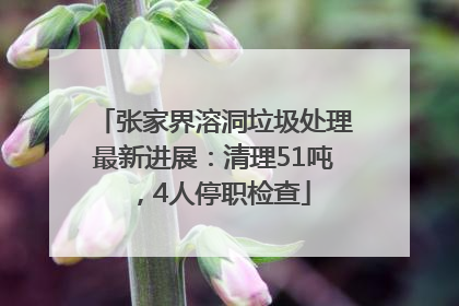 张家界溶洞垃圾处理最新进展：清理51吨，4人停职检查