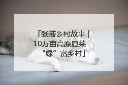 张掖乡村故事｜10万亩高原夏菜“绿”富乡村