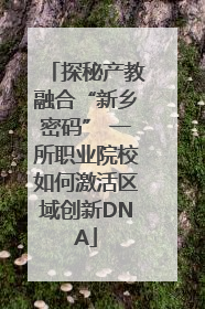 探秘产教融合“新乡密码” 一所职业院校如何激活区域创新DNA