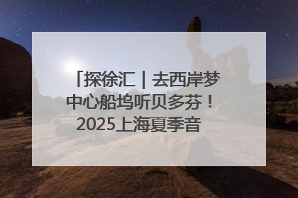 探徐汇｜去西岸梦中心船坞听贝多芬！2025上海夏季音乐节公布节目阵容