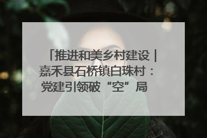推进和美乡村建设｜嘉禾县石桥镇白珠村：党建引领破“空”局 乡贤聚力绘就新图景
