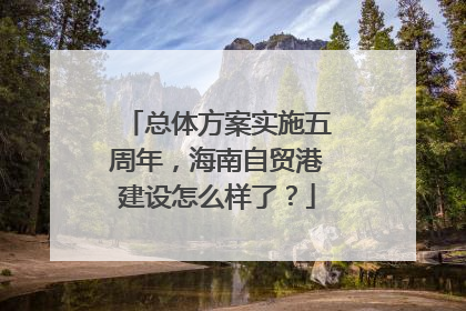 总体方案实施五周年，海南自贸港建设怎么样了？