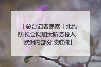 总台记者观察丨北约防长会拟加大防务投入 欧洲内部分歧难掩