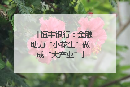 恒丰银行：金融助力“小花生”做成“大产业”