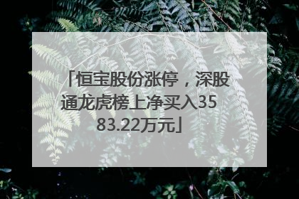 恒宝股份涨停，深股通龙虎榜上净买入3583.22万元