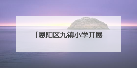恩阳区九镇小学开展师德师风宣誓活动