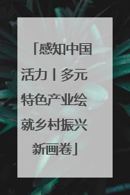 感知中国活力丨多元特色产业绘就乡村振兴新画卷