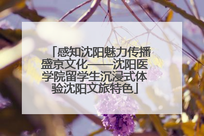 感知沈阳魅力传播盛京文化——沈阳医学院留学生沉浸式体验沈阳文旅特色
