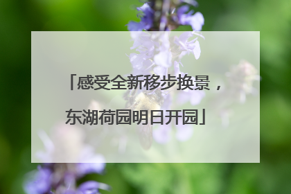 感受全新移步换景，东湖荷园明日开园