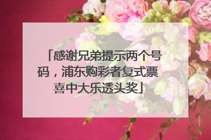 感谢兄弟提示两个号码，浦东购彩者复式票喜中大乐透头奖