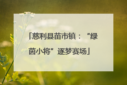 慈利县苗市镇：“绿茵小将”逐梦赛场