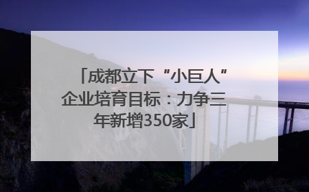 成都立下“小巨人”企业培育目标：力争三年新增350家