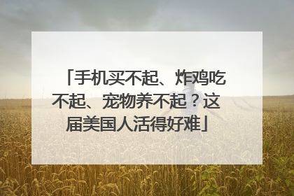 手机买不起、炸鸡吃不起、宠物养不起？这届美国人活得好难
