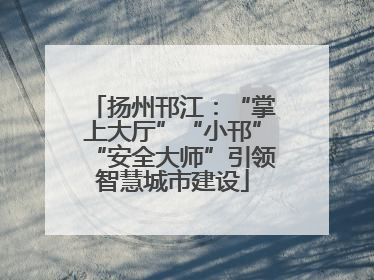 扬州邗江：“掌上大厅”“小邗”“安全大师”引领智慧城市建设