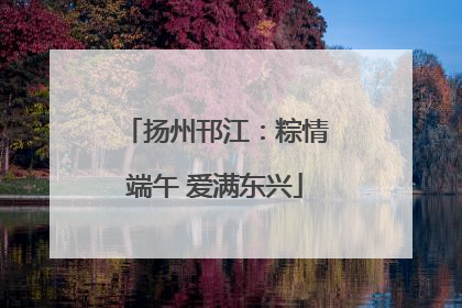 扬州邗江：粽情端午 爱满东兴