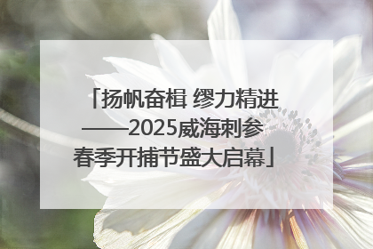扬帆奋楫 缪力精进——2025威海刺参春季开捕节盛大启幕