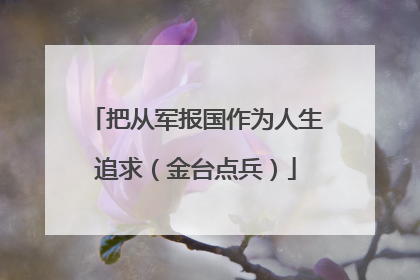 把从军报国作为人生追求（金台点兵）