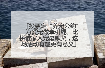 投票定“养宠公约”、为爱宠做牵引绳、比拼谁家人宠最默契，这场活动有趣更有意义