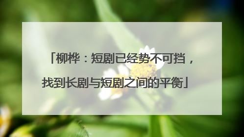 柳桦：短剧已经势不可挡，找到长剧与短剧之间的平衡