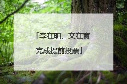 李在明、文在寅完成提前投票