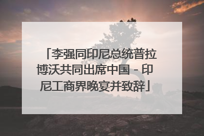 李强同印尼总统普拉博沃共同出席中国－印尼工商界晚宴并致辞