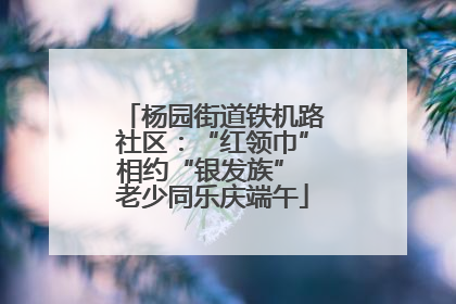 杨园街道铁机路社区：“红领巾”相约“银发族” 老少同乐庆端午