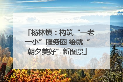 杨林镇：构筑“一老一小”服务圈 绘就“朝夕美好”新图景