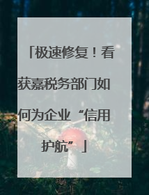 极速修复！看获嘉税务部门如何为企业“信用护航”